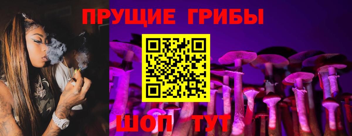 Псилоцибиновые грибы Cubensis Свободный