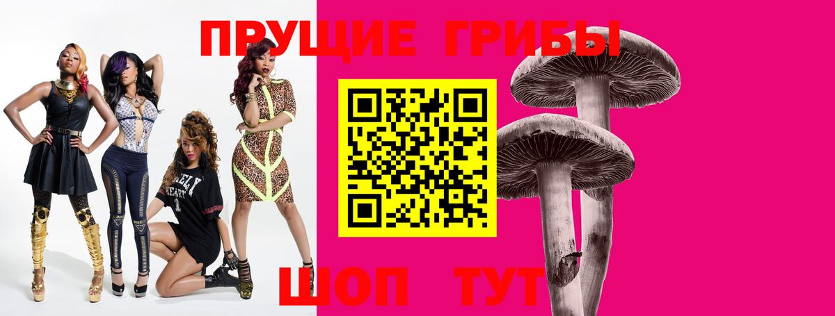 купить наркотик  Псилоцибиновые грибы ЛСД  Вход с VPN  Свободный  Галлюциногенные грибы прущие грибы 